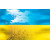 Українська символіка
